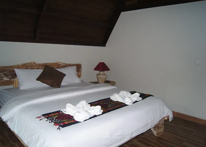 Pensión Ghamed Sari